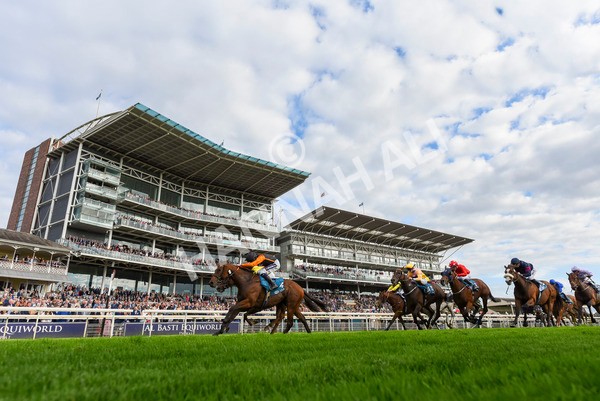 230923-Race 4-Aphelios-3267 - Race 4 3.45pm Jigsaw Sports Branding Handicap