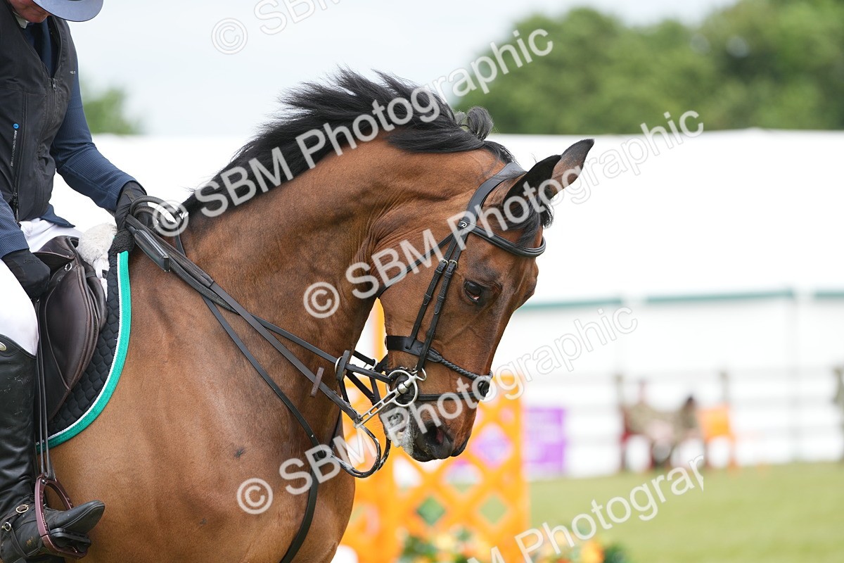 SBM_06487