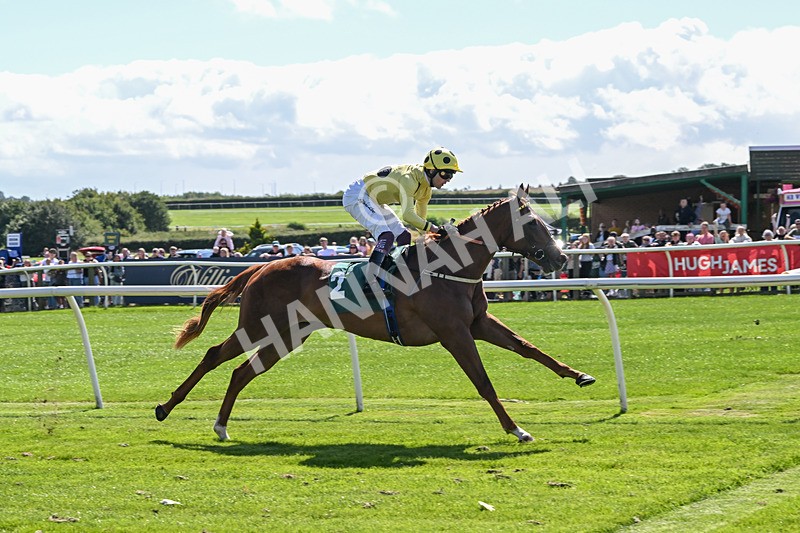 050825-Race 1-Reverberate-5049 - Race 1