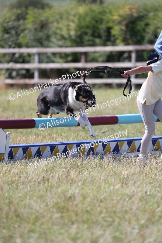 20260906-1635 - Class 10 - Horse & Hound
