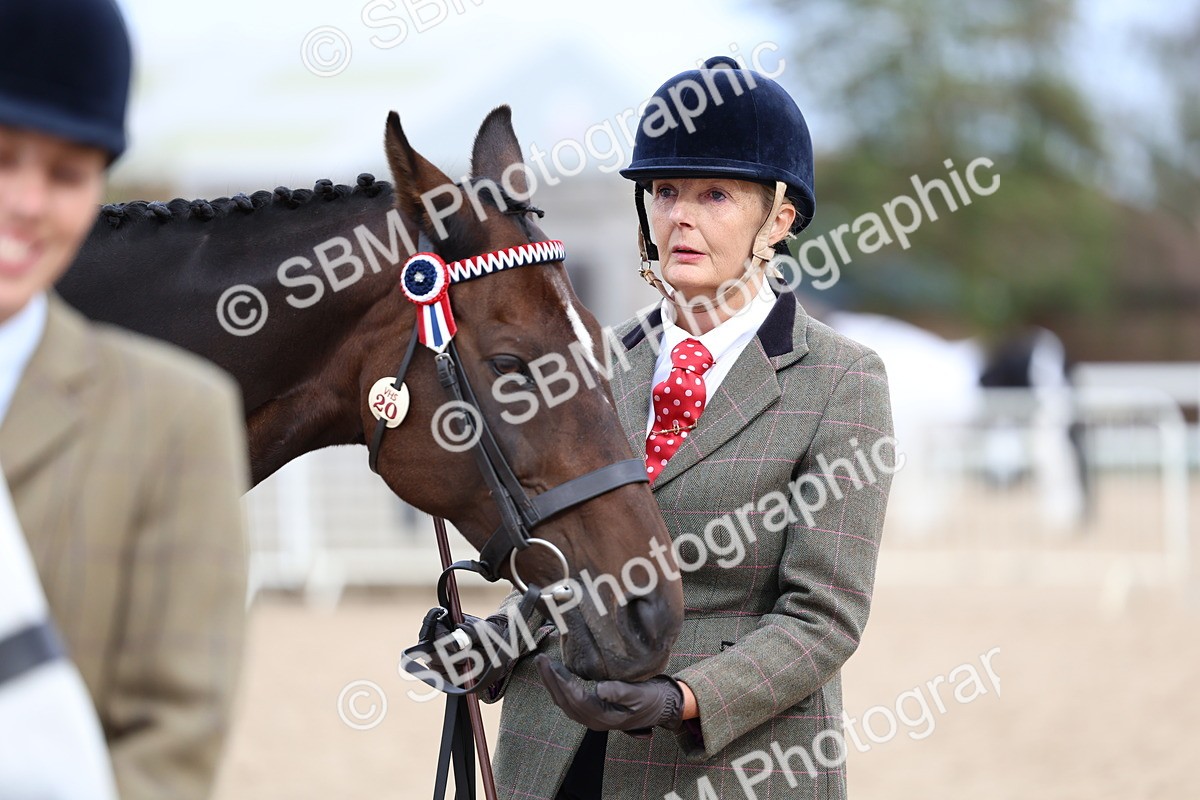SBM_05772 - Class 28 - IH Veteran Horse