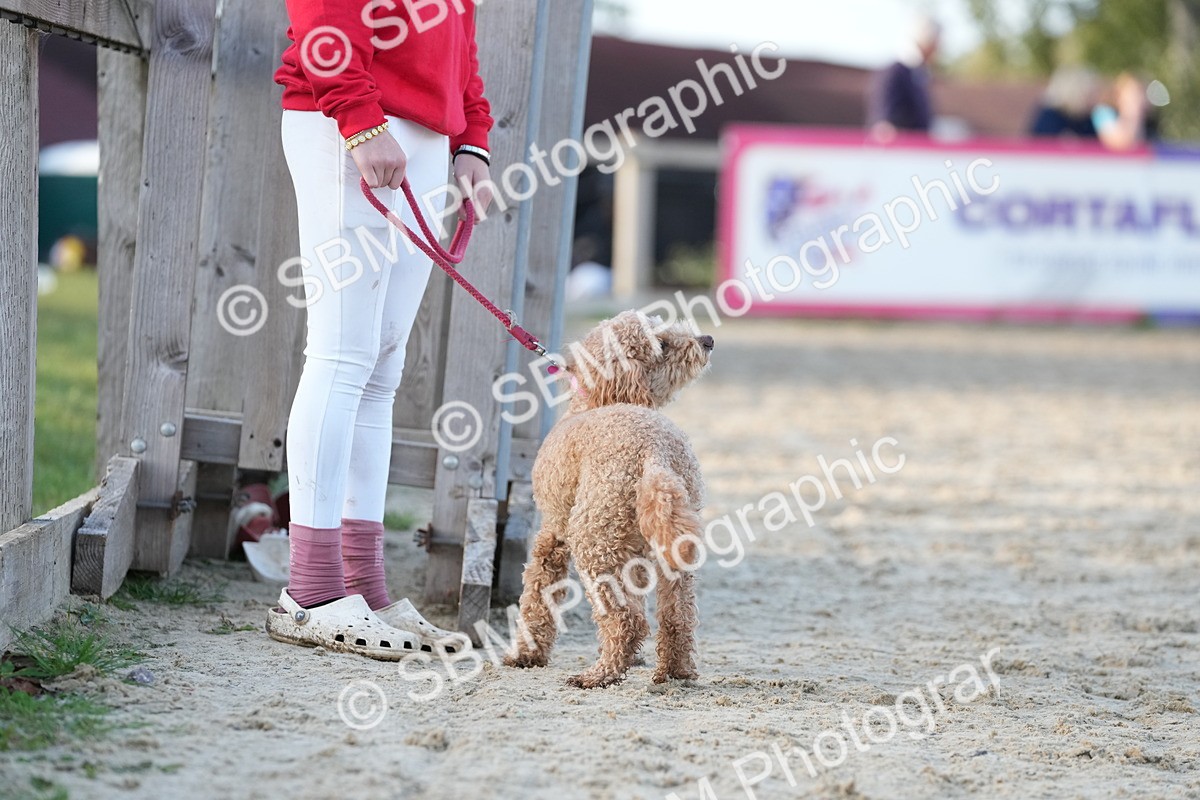 SBM_29457 - J44 - Horse & Hound Open 70cm