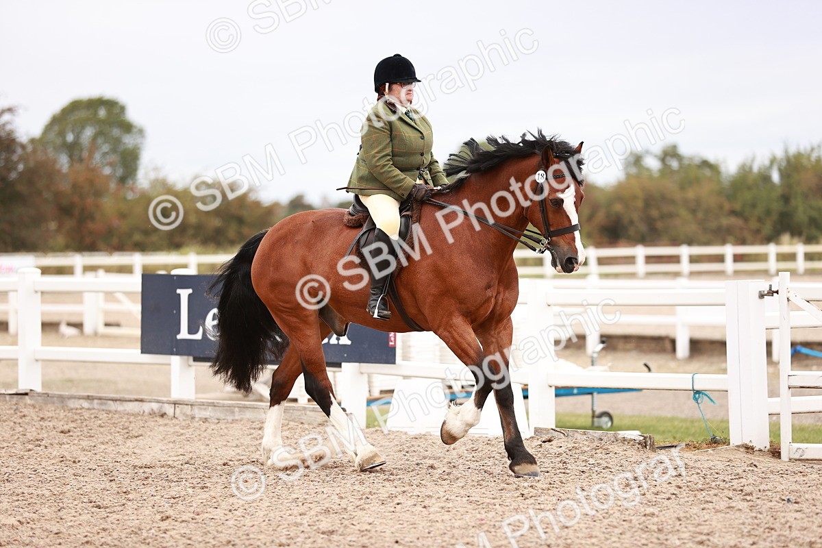 SBM_18952 - Class 422 - Ridden M&M