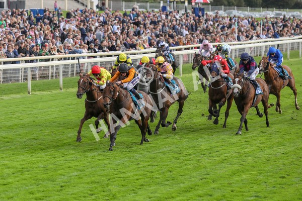 230923-Race 4-Aphelios-5320 - Race 4 3.45pm Jigsaw Sports Branding Handicap