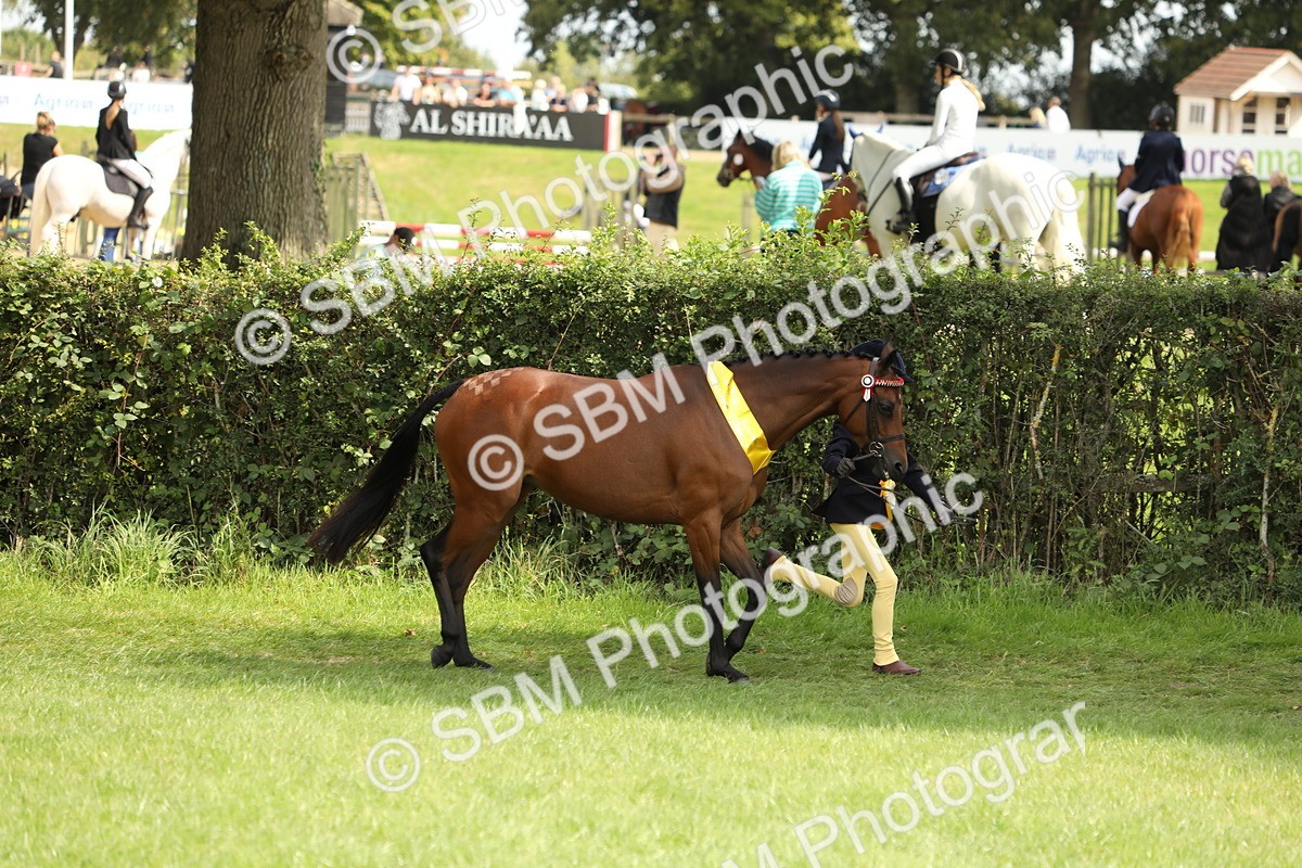 SBM_66288 - In Hand Pony & Youngstock Supreme Championship