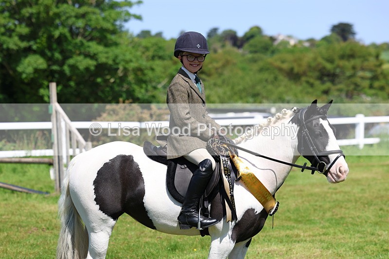 3E7A6833 - Working Hunter Pony Championship