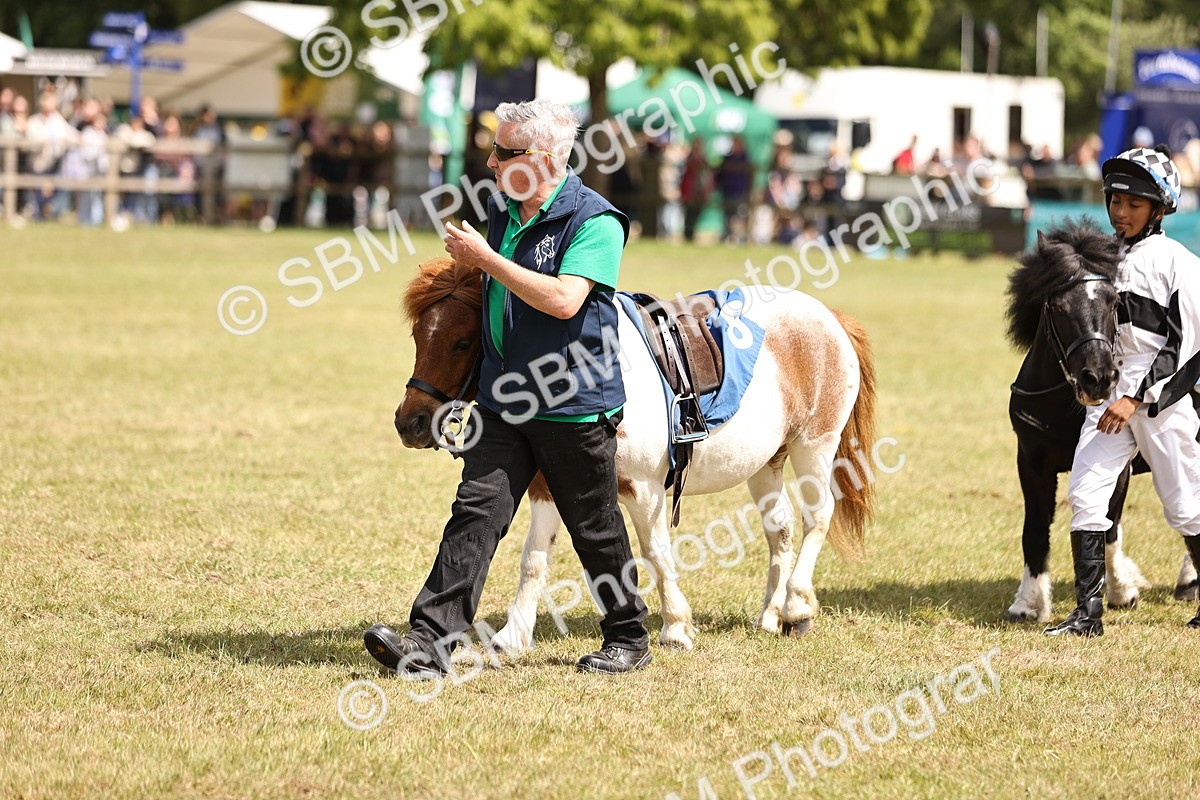 SBM_16386 - Dinky Derby