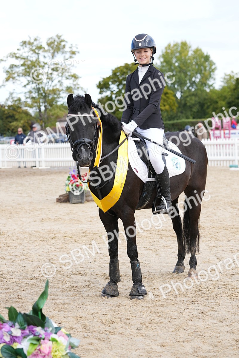 SBM_40072 - J6 - Junior Pony 55cm Championship