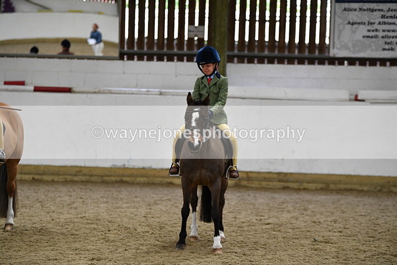 WJ5_7043 - Class 10 Childs Pony