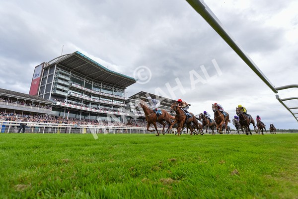 220824-Race 3-Thunder Run-4013 - Race 3 3.00pm Clipper Handicap
