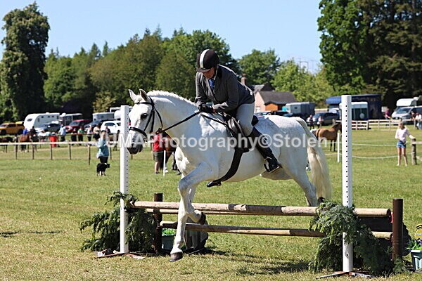 IMG_3992 - Working Hunter