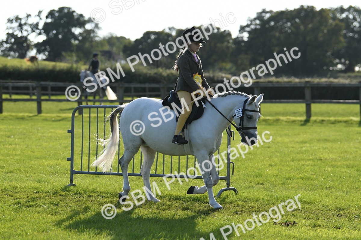 SBM_52477 - S22 - 1st Ridden Show & Show Hunter Pony