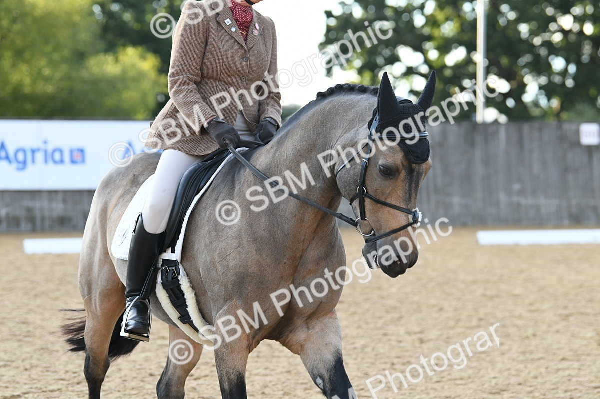 SBM_13471 - D19 Small Tour Championship Elementary 42