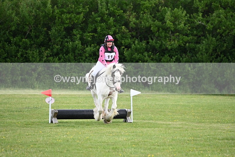 WJ6_2521 - Class 2 40cm