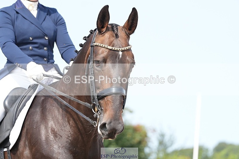 250815-112307-00825 - 013-Chloe.CocksIndulgence