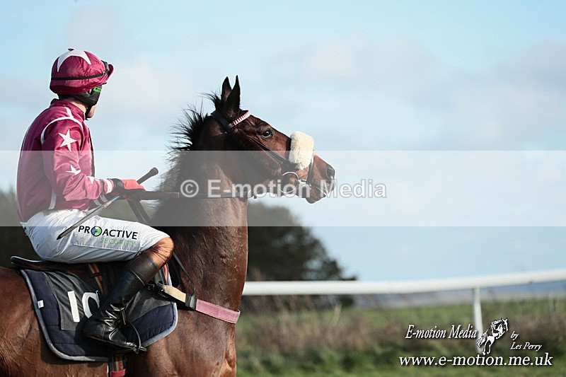 PtP 141225  1537 - New Forest Hounds PtP Larkhill 14/12/25