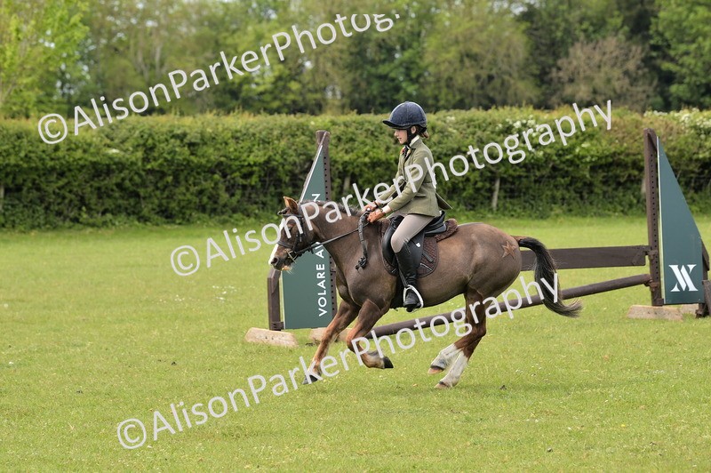20260426-2442 - Class 21 - Working Hunter Ponies