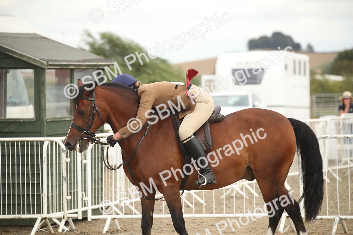 SBM_17647 - Class 508a - Working Veteran 70cm (15-19)