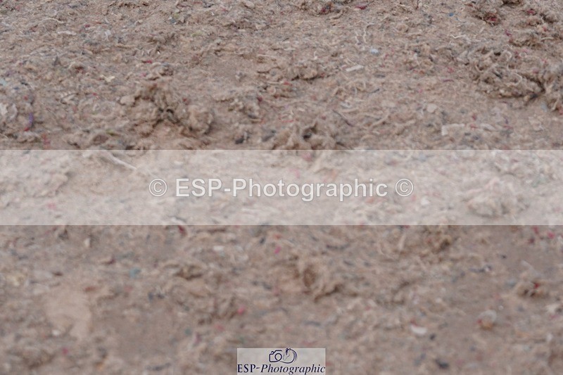 250510-122630-11282 - Cls 15 Prestige Big Star Quali  1st Jump Off