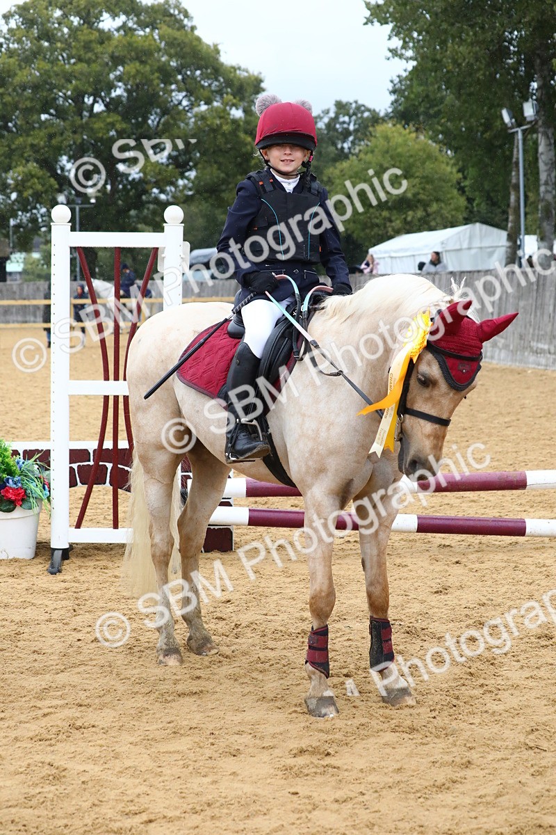 SBM_72107 - J3b - Mini Tour Junior Pony 40cm Championship