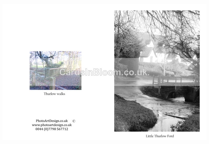 006 Little Thurlow Ford - THURLOW CARDS