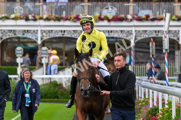 120724-Race 5-Sisyphean-6309 - Race 5 4.20pm George Blades Memorial Handicap