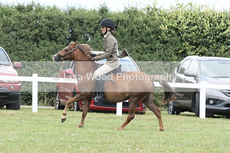 JPP_1912 - Class 18: Tiny Tots Working Hunter Pony