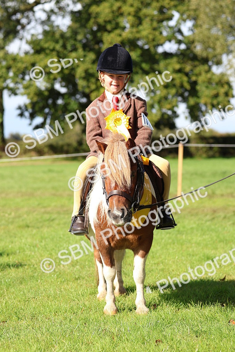 SBM_37429 - Fun Showing Supreme Championship