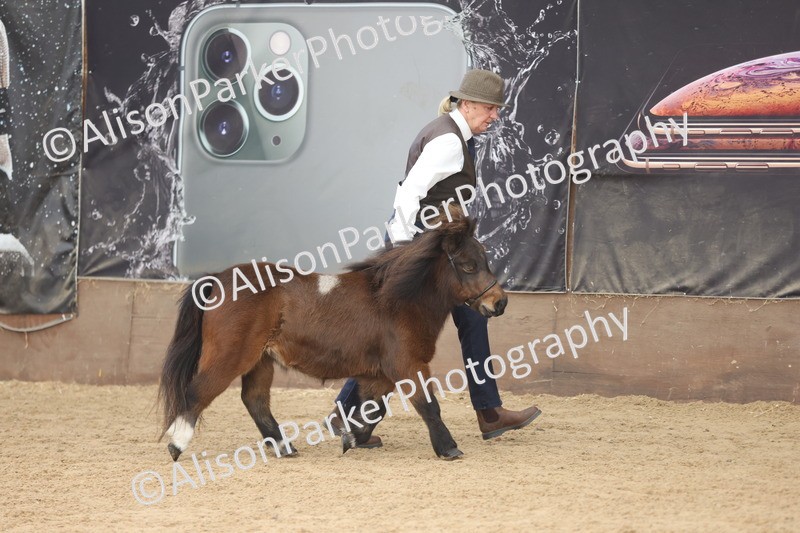 20251109-0294 - Class 13 - Mares 4 Years and Over