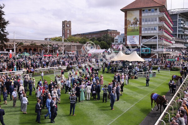 yr17082022r1-016 - Race 1 1.50pm Sky Bet & Symphony Group Stakes