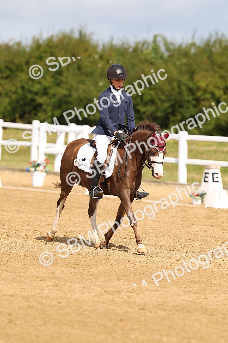 SBM_011517 - Class 1 - Prelim 19 - 10.50-11.46