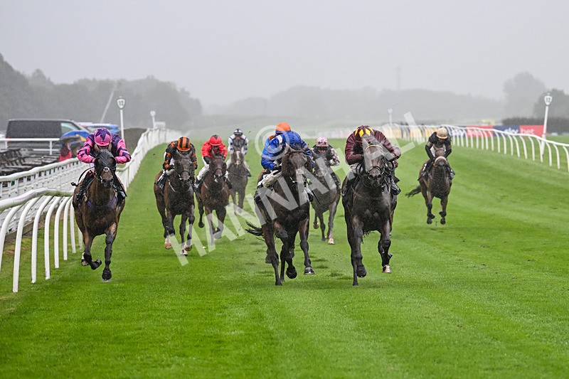 230725-Race 3-Emerald Army-0041 - Race 3