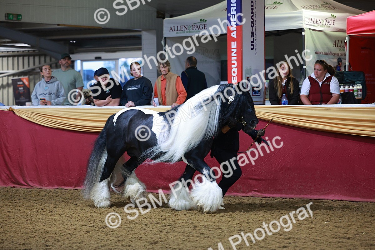 SBM_14895 - Class L - Coloured Champ