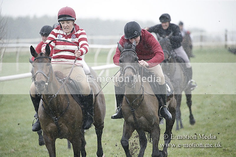 PtP 150320 0013 - New Forest Point-to-Point Larkhill 15/03/20