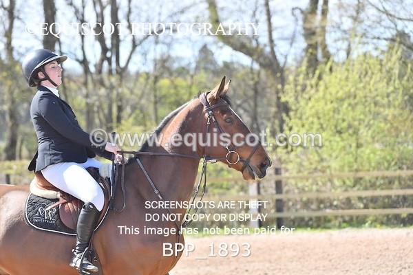 BPP_1893 - CLASS 20 SUN RHS Foxhunter Championship Qualifier