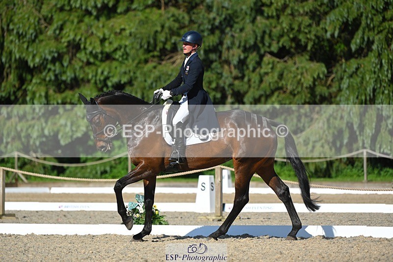 230526-172034-07577 - 262-TREAMBLE-Finn_Healy-WEDTrotUp+DR