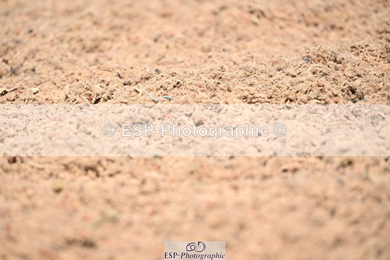 240621A-134118-04131 - Cls 8 BD Elementary 53