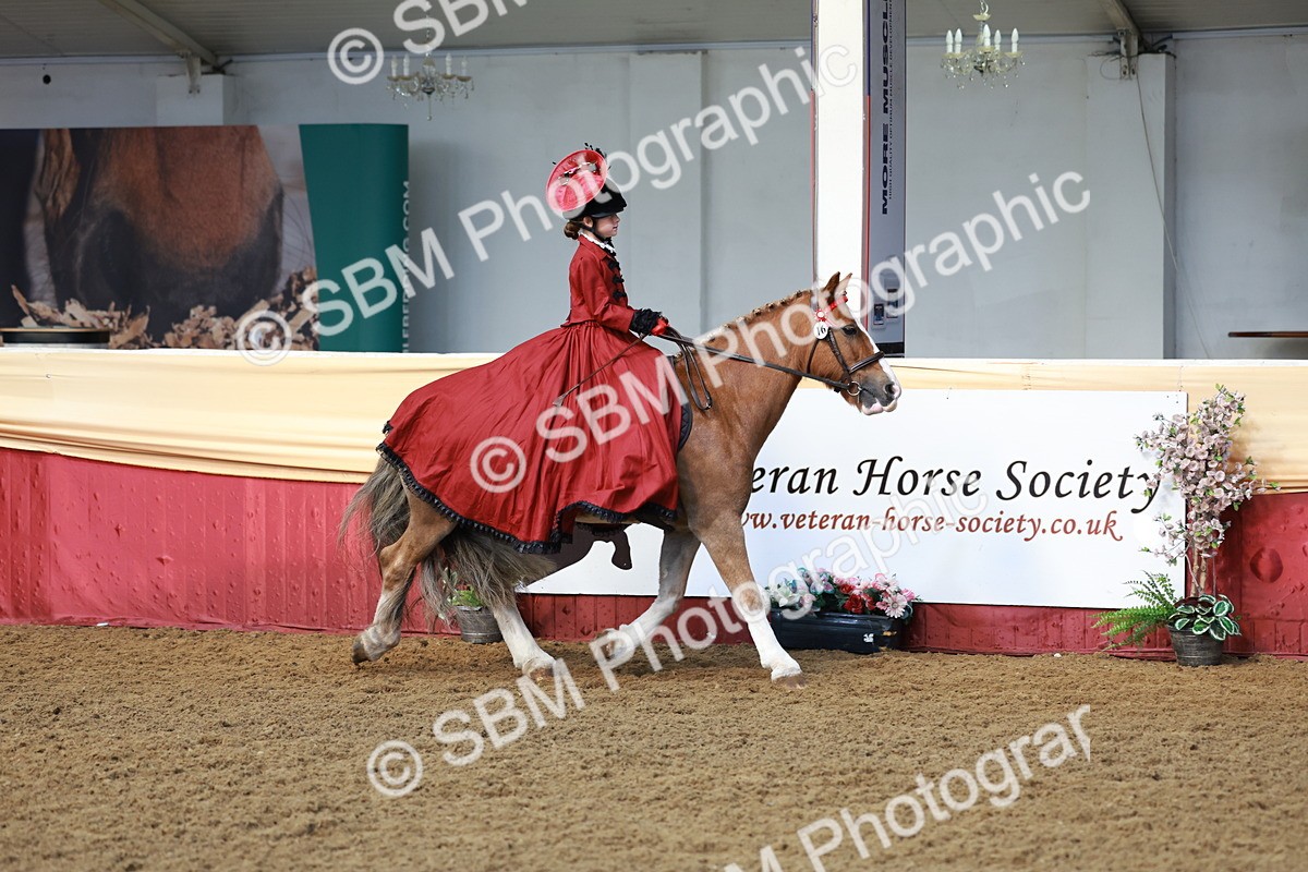 SBM_13417 - Class 104 - Ridden Costume - Astride Junior