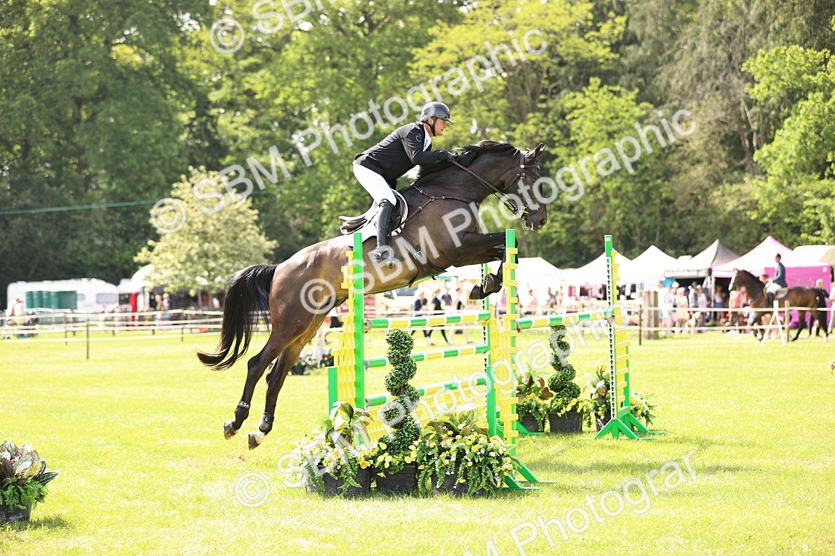 SBM_02994 - Class 201 - British Horse Feedds Speedi Beet HOYS Grade C