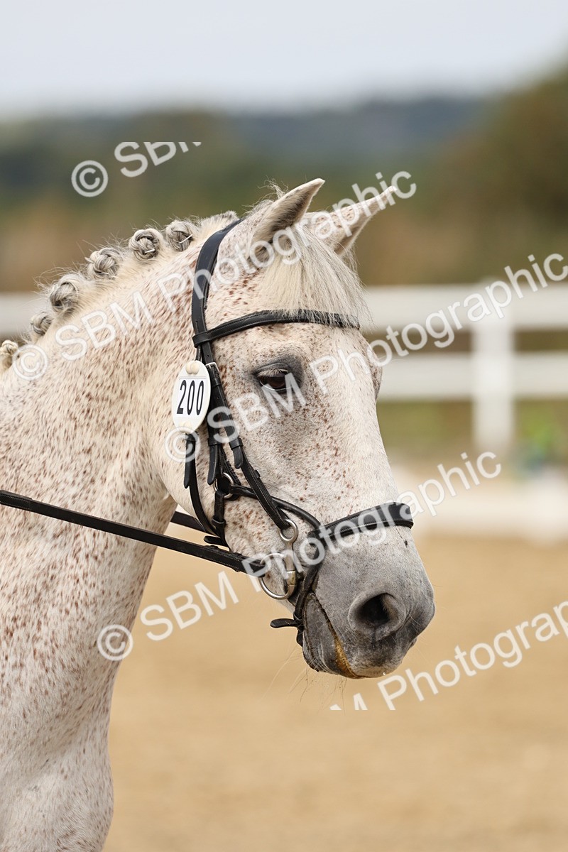 SBM_013166 - Class 3 - Novice 4 - 11.43-12.25