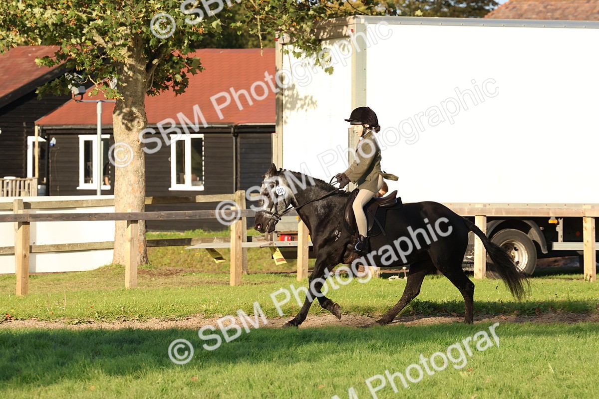 SBM_53074 - S29 - Mature Veteran Ridden