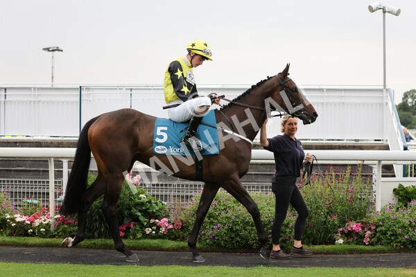 yr22072022r2-8 - Race 2 5.50pm eventmasters.co.uk Stakes