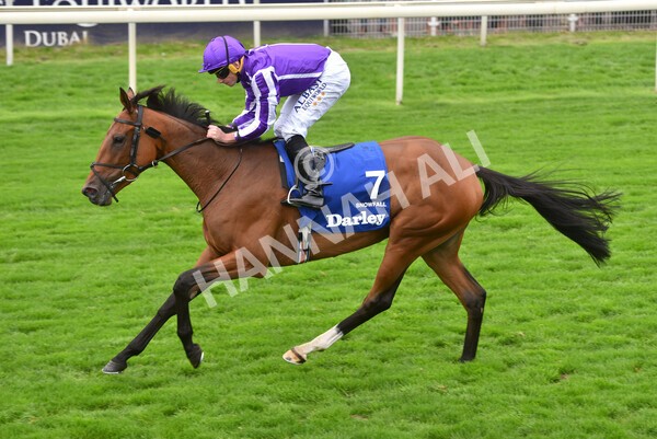 yr19082021r4-52 - Race 4 3.35pm Darley Yorkshire Oaks (British Champions Series race)