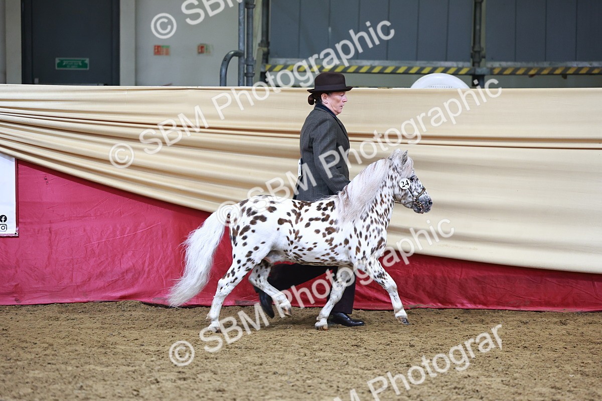 SBM_22235 - Class 902 - Supreme Final - IH Diamond