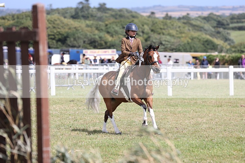 JPP_2157 - Class 19: Working Hunter 60cm