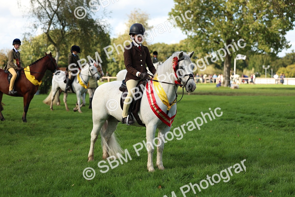SBM_46392 - Working Hunter Pony Supreme Championship
