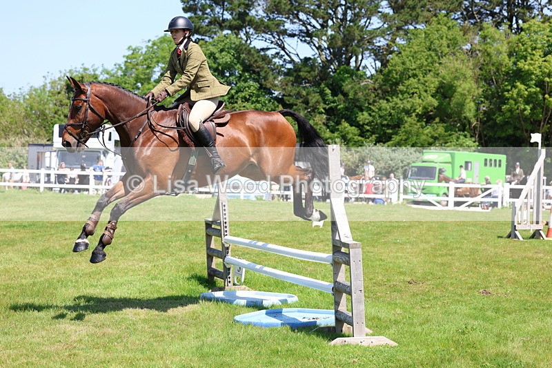 3E7A7089 - Class 30: Novice Working Hunter
