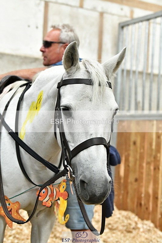 230804A-095428-02220 - Stable Shots