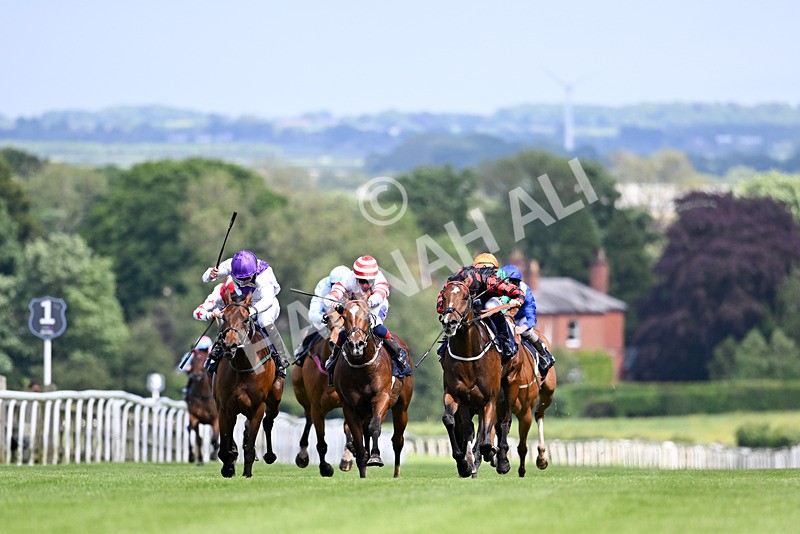 290524-Race 3-Puella Law-6335