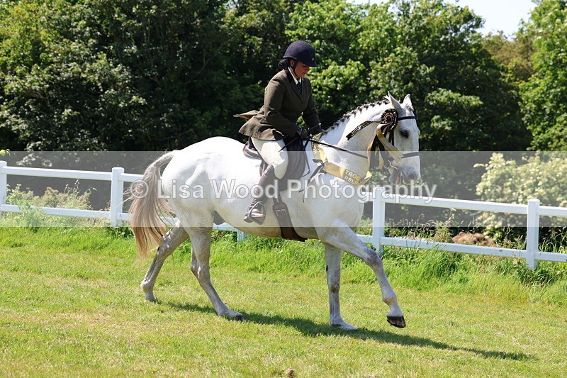 3E7A8150 - Working Hunter Championship